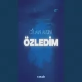 Dilan Akin