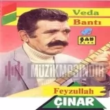 Feyzullah cinar