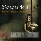 Goknil Bishak ozdemir
