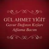 Gül Ahmet Yiğit