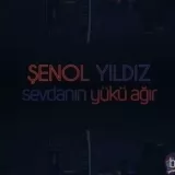 shenol Yildiz